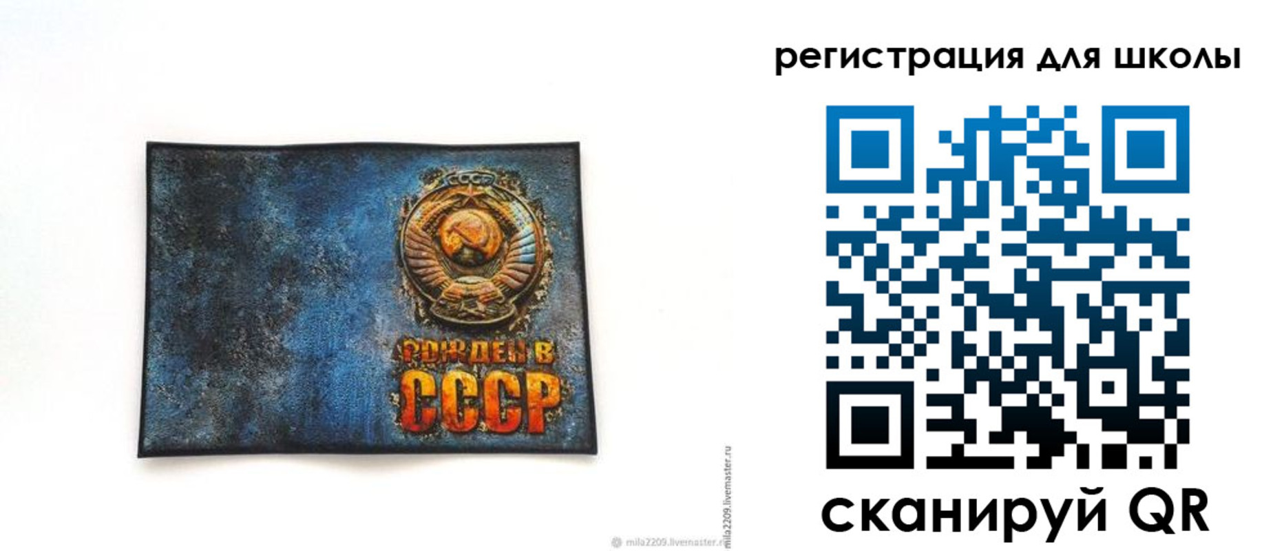 регистрация в Петропавловске-Камчатском